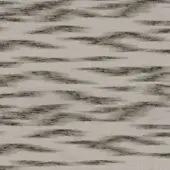 Galatée - Gris